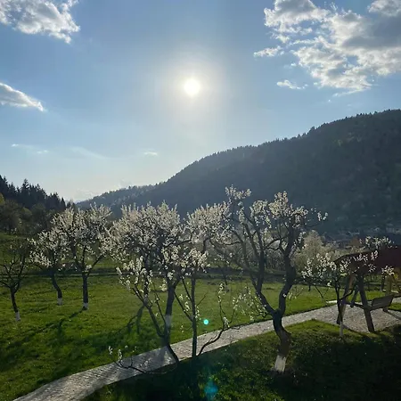 Livada Borsa (Maramures)