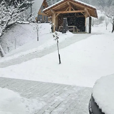 Livada Holiday home Borsa (Maramures)