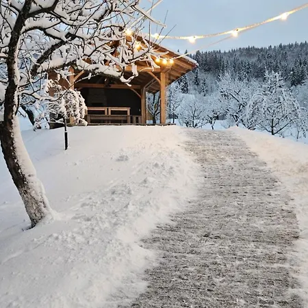 Livada Holiday home Borsa (Maramures)