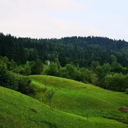 Livada Borsa (Maramures)