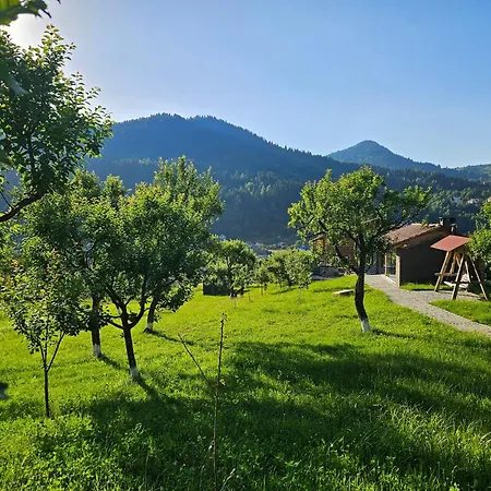 Livada Borsa (Maramures)